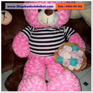 Gấu Bông Teddy Hàn Quốc - GAU64